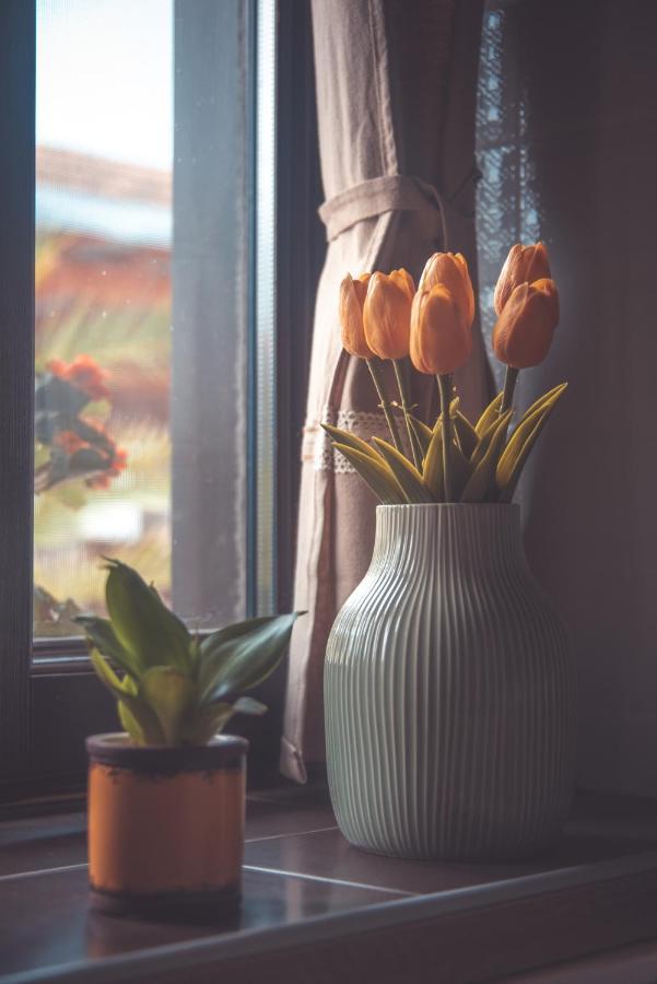 Hauptman Apartman นักยาทาด ภายนอก รูปภาพ